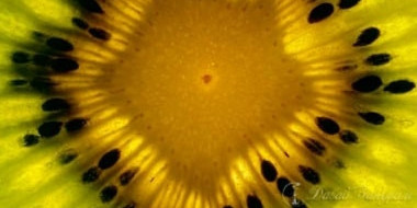 Обзор табака LaVoo1615031708