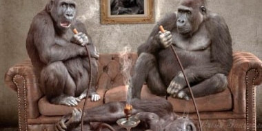 Тютюн Tangiers - той самий Танж1605258397