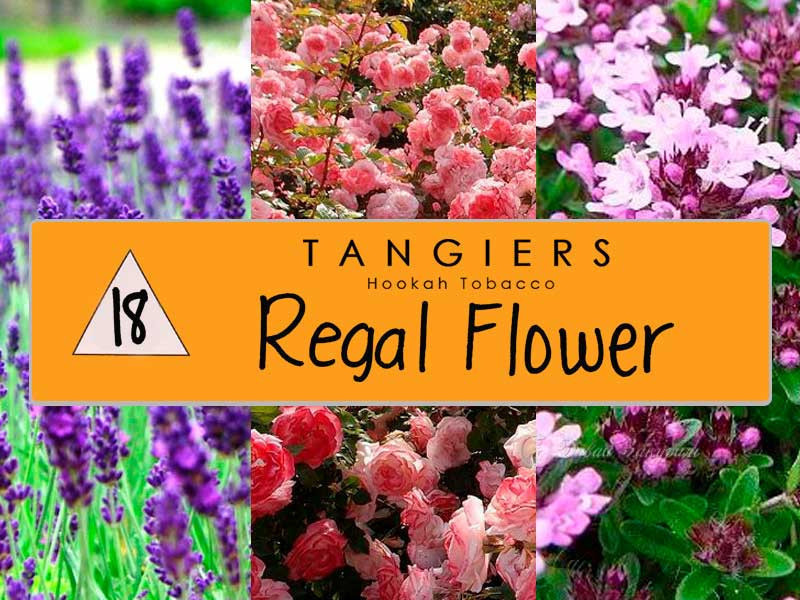 tangiers-hookah-tobacco-regal-flower-18-tsvetochnye-polia