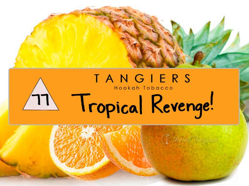 tangiers-hookah-tobacco-noir-tropical-revenge-51-ananas-apelsin-grusha