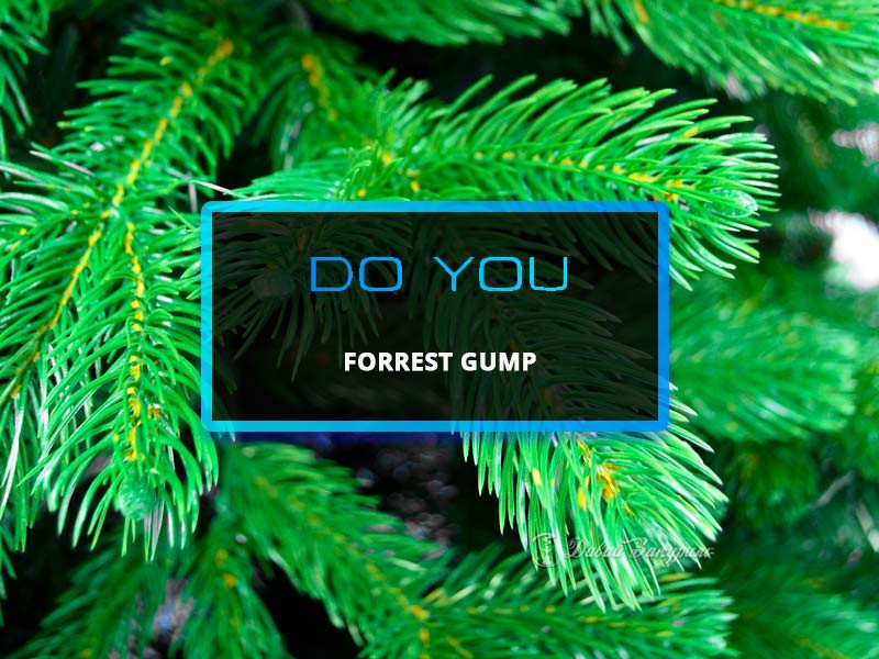 do-you-forrest-gump-chainaia-smes-forrest-gamp