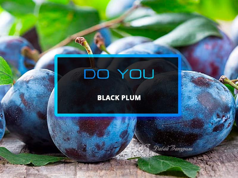 do-you-black-plum-chainaia-smes-temnaia-sliva