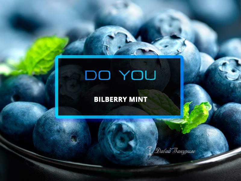 do-you-bilberry-mint-chainaia-smes-chernika-s-miatoi