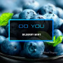do-you-bilberry-mint-chainaia-smes-chernika-s-miatoi