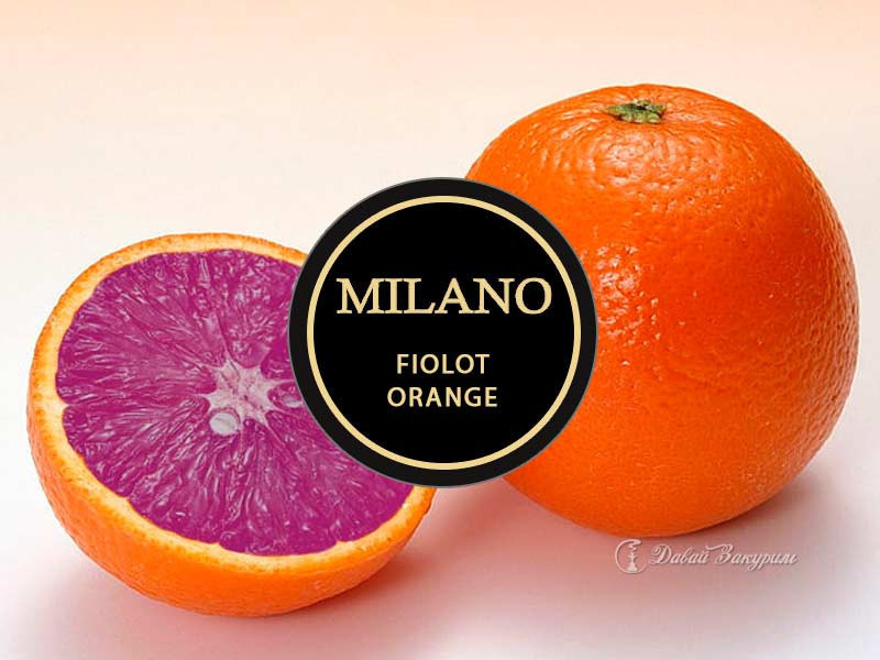 tabak-milano-fioletovyi-apelsin-fiolot-orange-m62-dolki-fioletovogo-apelsina