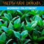 tabak-kold-dokha-morning-enjoyment-medwakh-cold-dokha