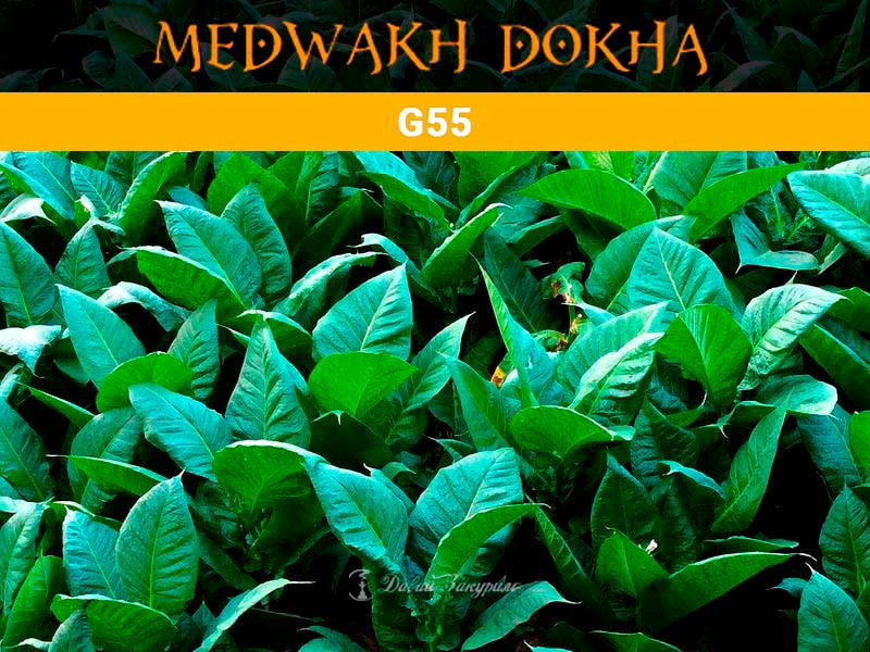 tabak-dokha-g55-medwakh-warm-dokha