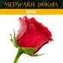 tabak-dokha-rose-medwakh-warm-dokha