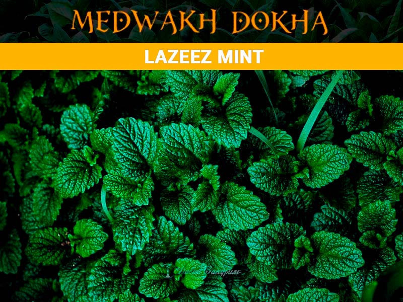 tabak-dokha-lazeez-mint-medwakh-warm-dokha