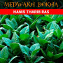 tabak-khot-dokha-hanis-tharib-ras-medwakh-hot-dokha