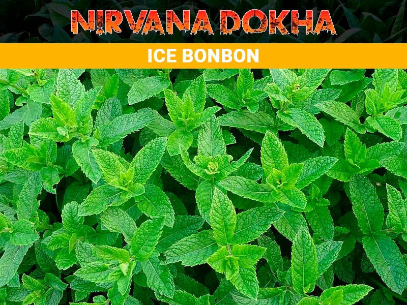krepkaia-dokha-iz-ssha-nirvana-dokha-ice-bon-bon