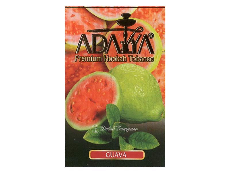 adaliia-guava-i-miata-guava-miata-originalnaia-upakovka-izobrazhenie-plody-guavy-i-miata