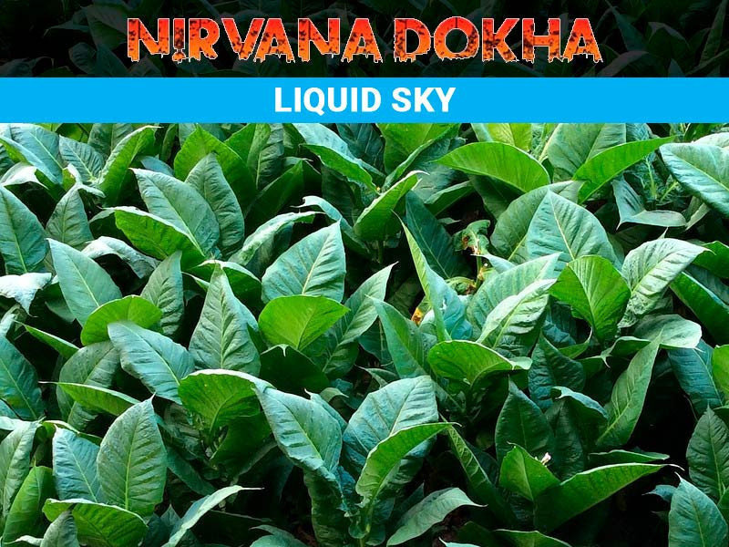 krepakaia-dokha-nirvana-dokha-liquid-sky