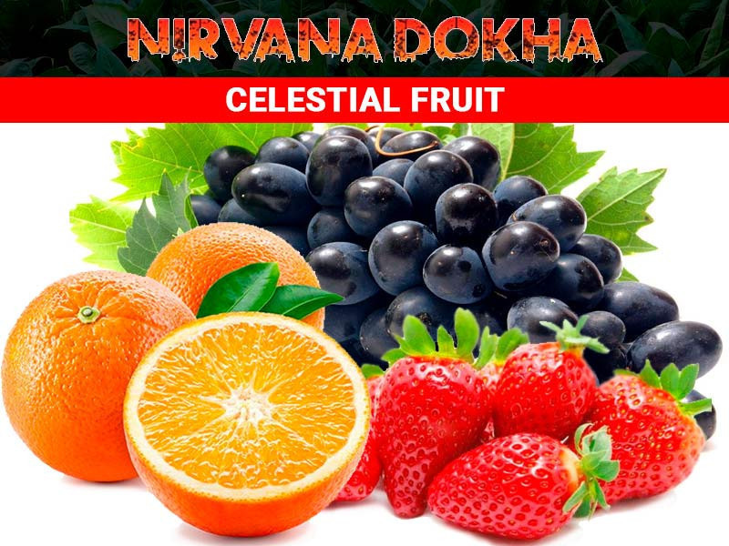 samaia-krepakaia-dokha-nirvana-dokha-celestial-fruit