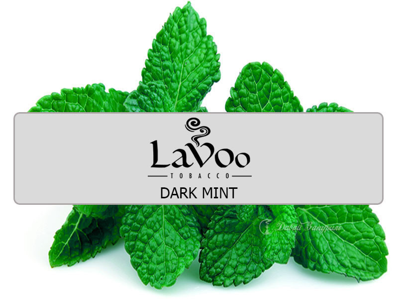 lavoo-tobacco-dark-mint-izobrazhenie-listev-miaty