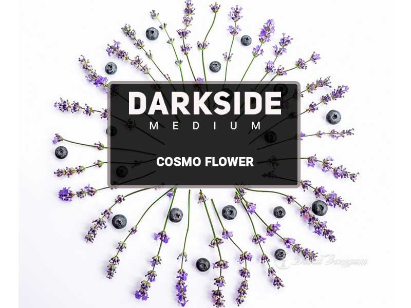 dark-side-core-cosmo-flower-izobrazhenie-na-pachke-spelye-chernichki-i-tsvety