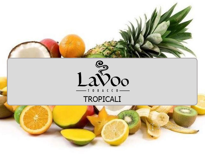 lavoo-tobacco-tropicali-razlichnye-frukty-multifrukt