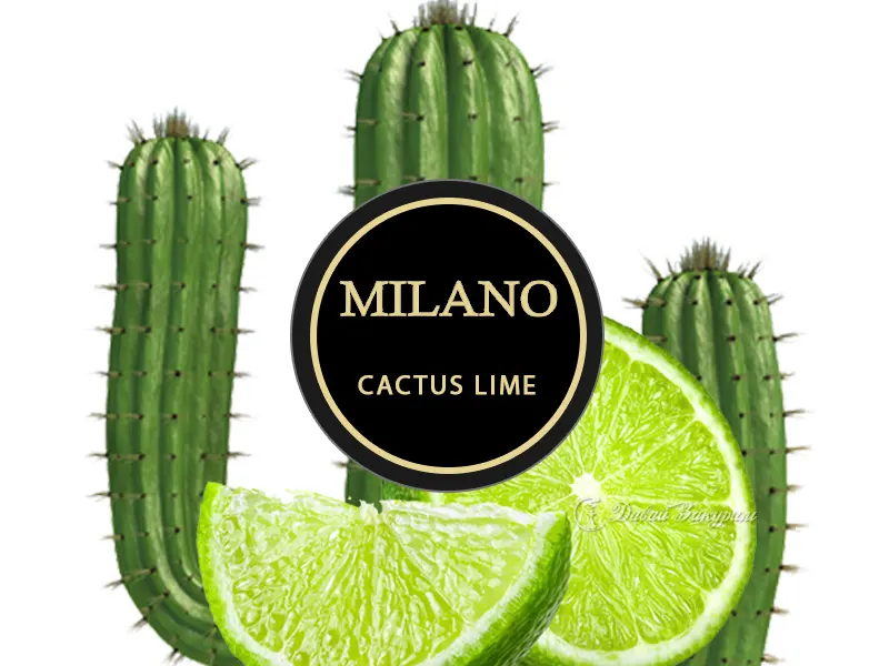 Табак Милано Кактус Лайм (Milano M105 Cactus Lime) – половинки лайма и плоды кактуса1618918111