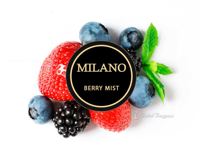 Табак Milano Berry Mist 50 гр