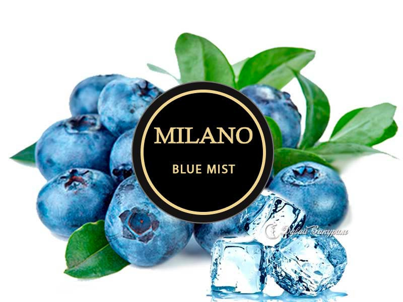 Табак Milano Blue Mist