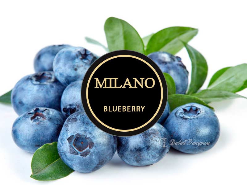 Табак Milano Blueberry