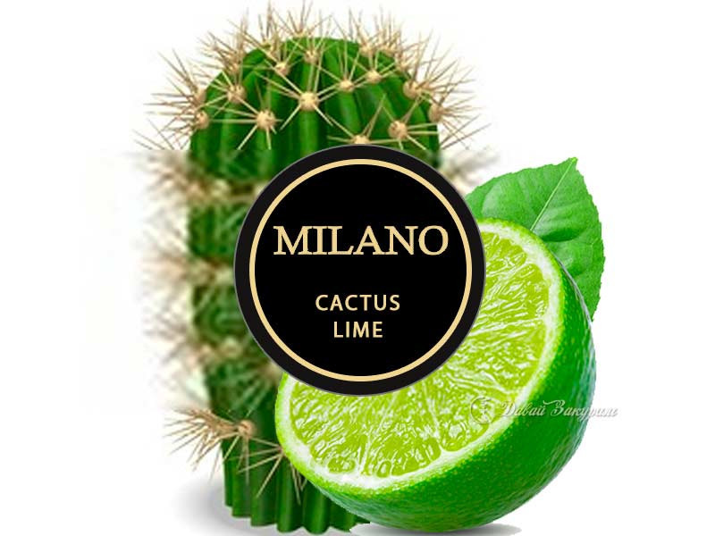 Табак Milano Cactus Lime 50 гр