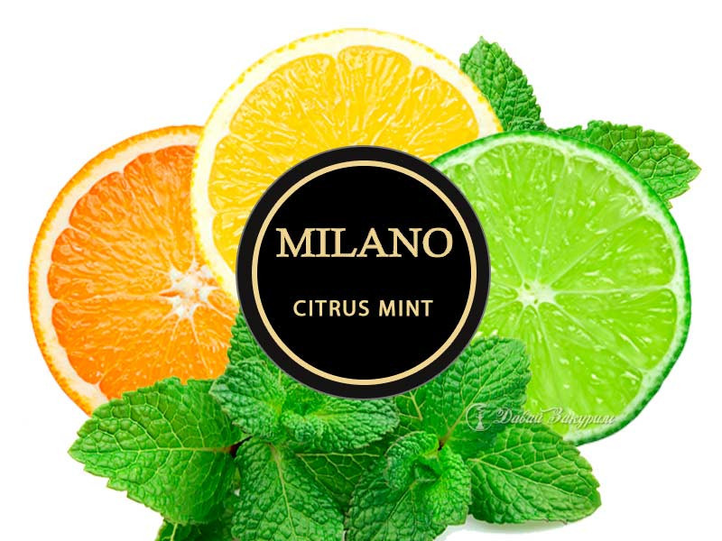 Табак Milano Citrus Mint 50 гр