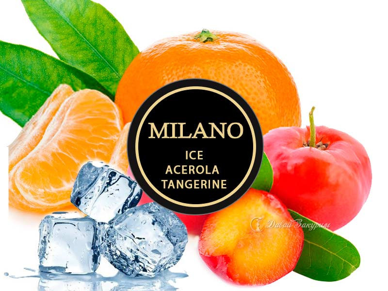 Табак Milano Ice Acerola Tangerine 50 гр