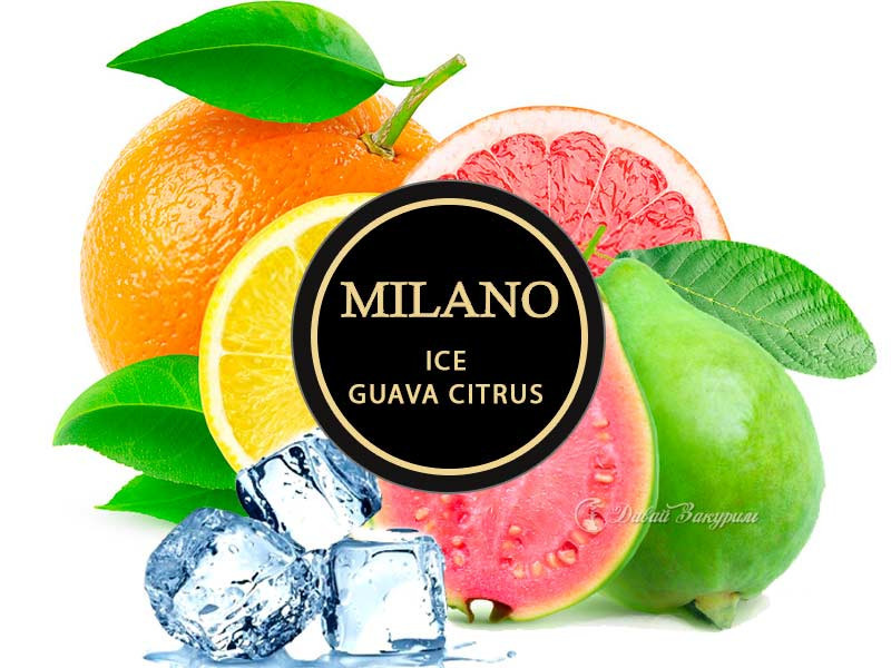 Табак Milano Ice Guava Citrus 50 гр