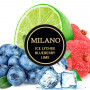 Табак Milano Ice Lychee Blueberry Lime 50 гр