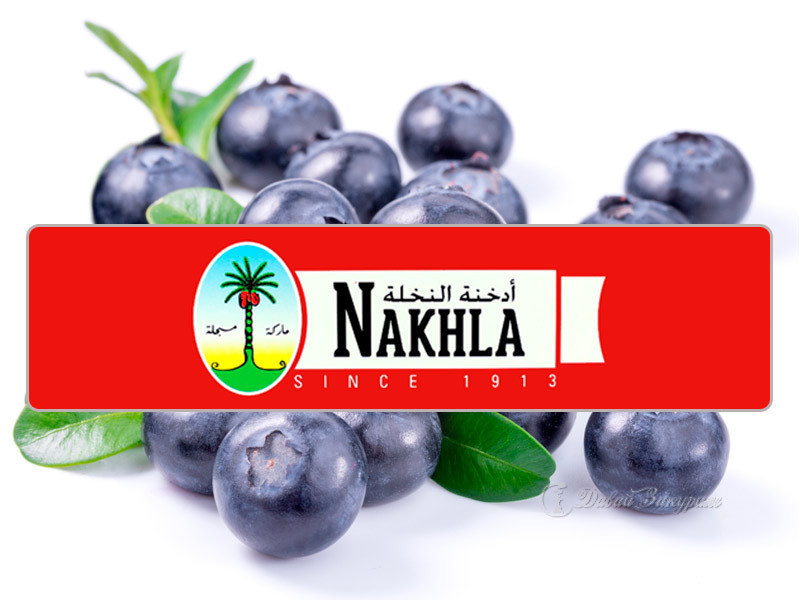 izobrazhenie-nakhla-blueberry