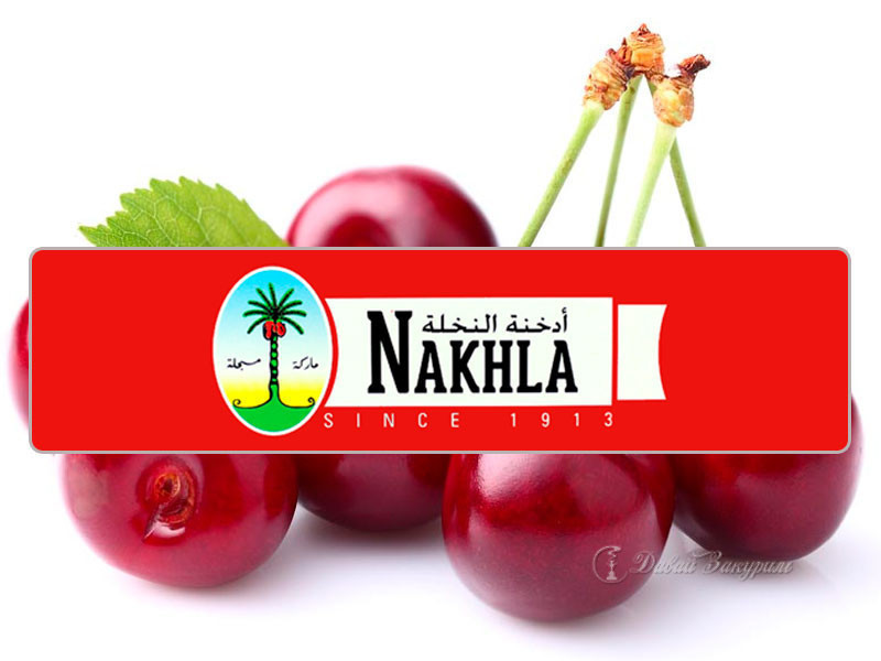 izobrazhenie-nakhla-cherry