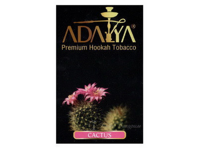 izobrazhenie-adalya-premium-hookah-tobacco-cactus-chernaia-korobka-kaktus-s-tsvetkami