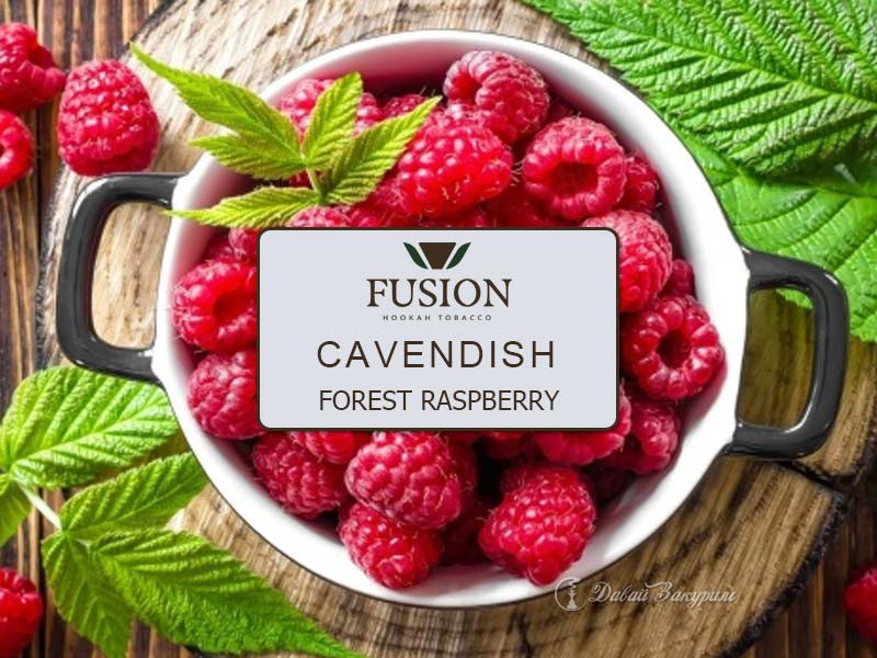 fusion-cavendish-forest-raspberry-kastriulka-s-malinoi
