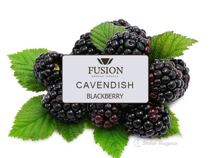 fusion-cavendish-blackberry-iagody-ezheviki
