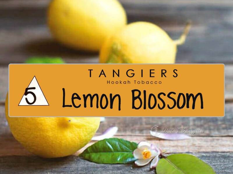 zheltyi-tangiers-hookah-tobacco-lemon-blossom-5-plody-limona-tsvetok-limonnogo-dereva